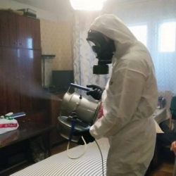 Дезинфекция от клопов в Новосиньково
