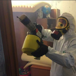 Уничтожение клопов в квартире. Новосиньково